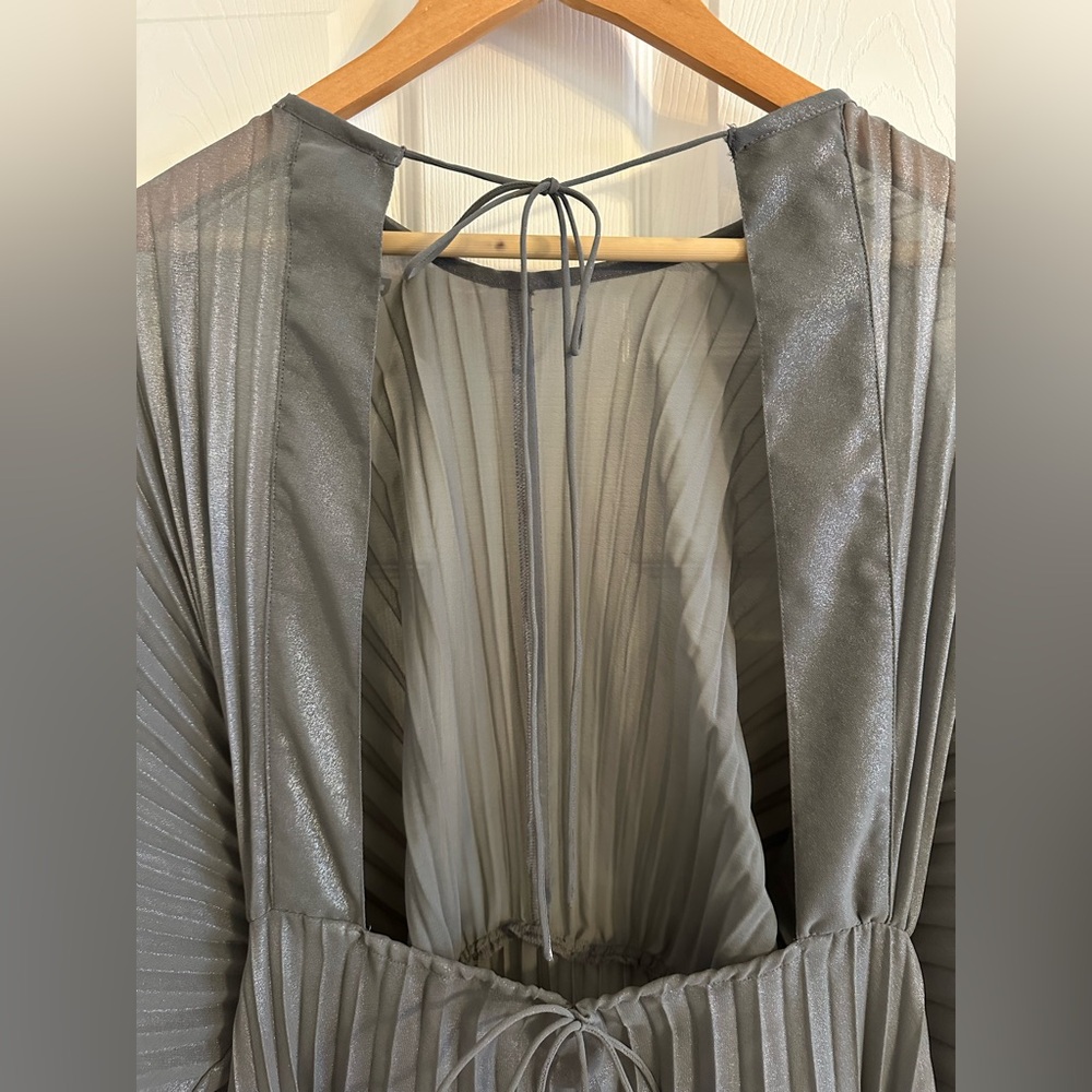 Anthropologie Sheer Pleated Taupe Maxi Dress - Picture 7 of 9